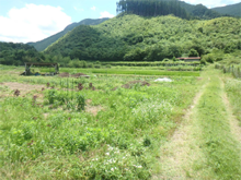 小川口(おがわくち)の棚田