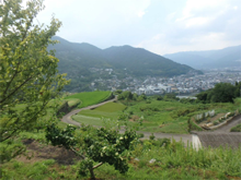 岡地区(おかちく)の棚田