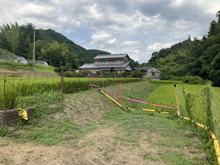 大影(おおかげ)の棚田 大影(おおかげ)の棚田