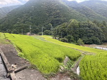 奥日開谷(おくひがいだに)の棚田