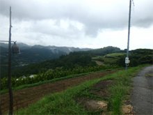 奥野々(おくのの)の棚田