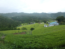 奥野々(おくのの)の棚田