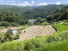 佐野高毛(さのこうげ)の棚田