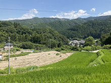 佐野高毛(さのこうげ)の棚田