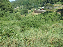 佐野境谷(さのさかいだに)の棚田