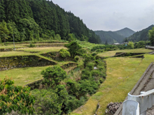 新発谷(しんぼちだに)の棚田