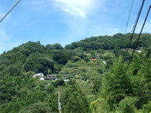 田平(たひら)の棚田