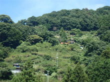 田平(たひら)の棚田