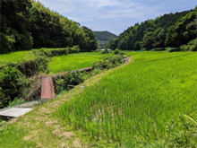田井(たい)の棚田 田井(たい)の棚田