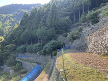 高開(たかがい)の棚田