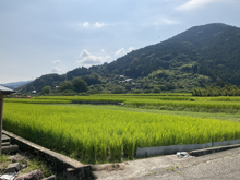 高浜集落(たかはましゅうらく)の棚田