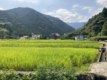 高浜集落(たかはましゅうらく)の棚田