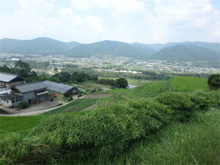 滝下(たきのした)の棚田