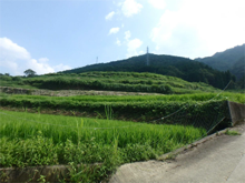 滝下(たきのした)の棚田