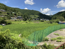 田野々(たのの)の棚田