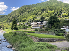 田野々(たのの)の棚田