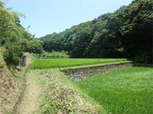 山の神の棚田 山の神の棚田