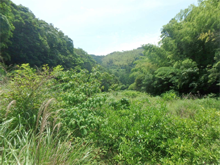 山の神の棚田 山の神の棚田