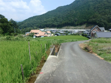 山の上(やまのうえ)の棚田