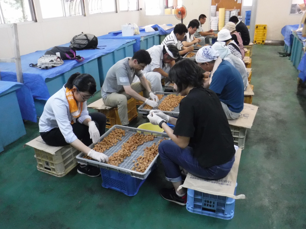 作業の様子1