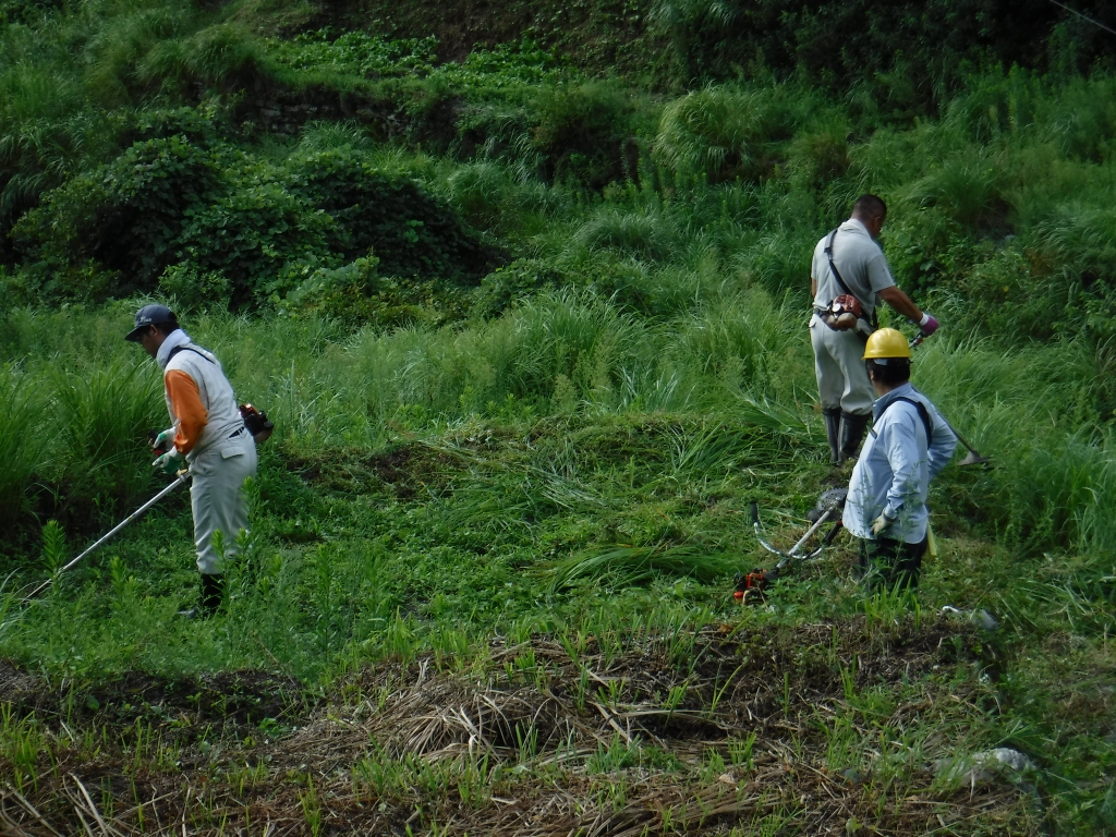 作業の様子（草刈り）