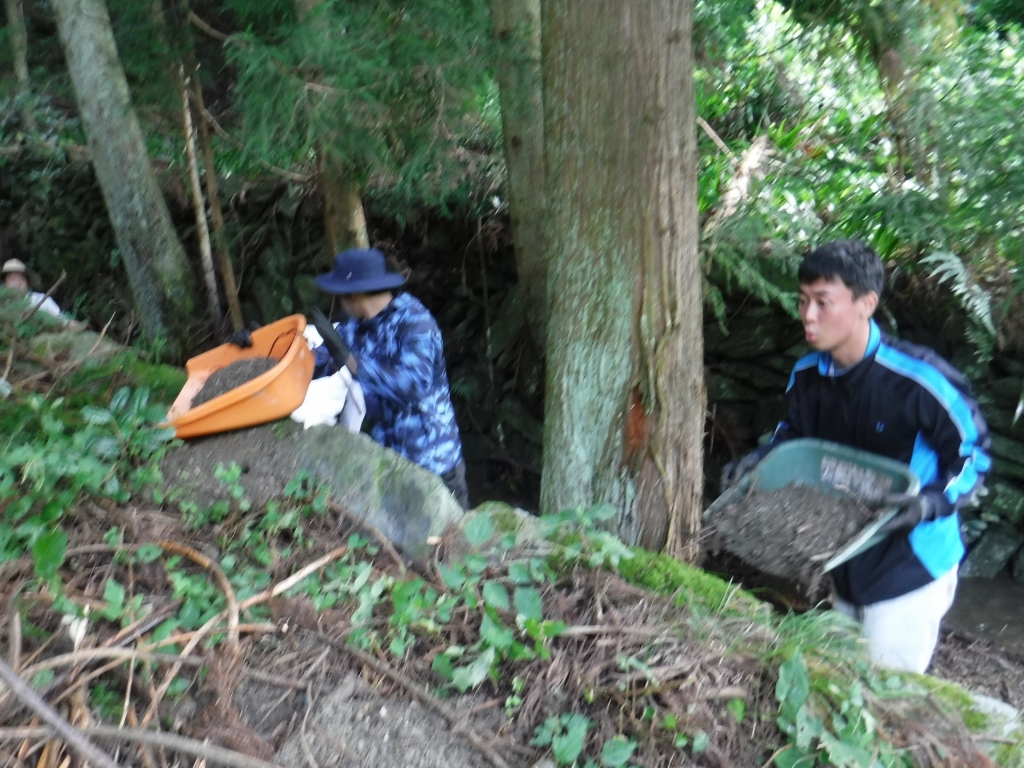 水源地の土砂等の除去