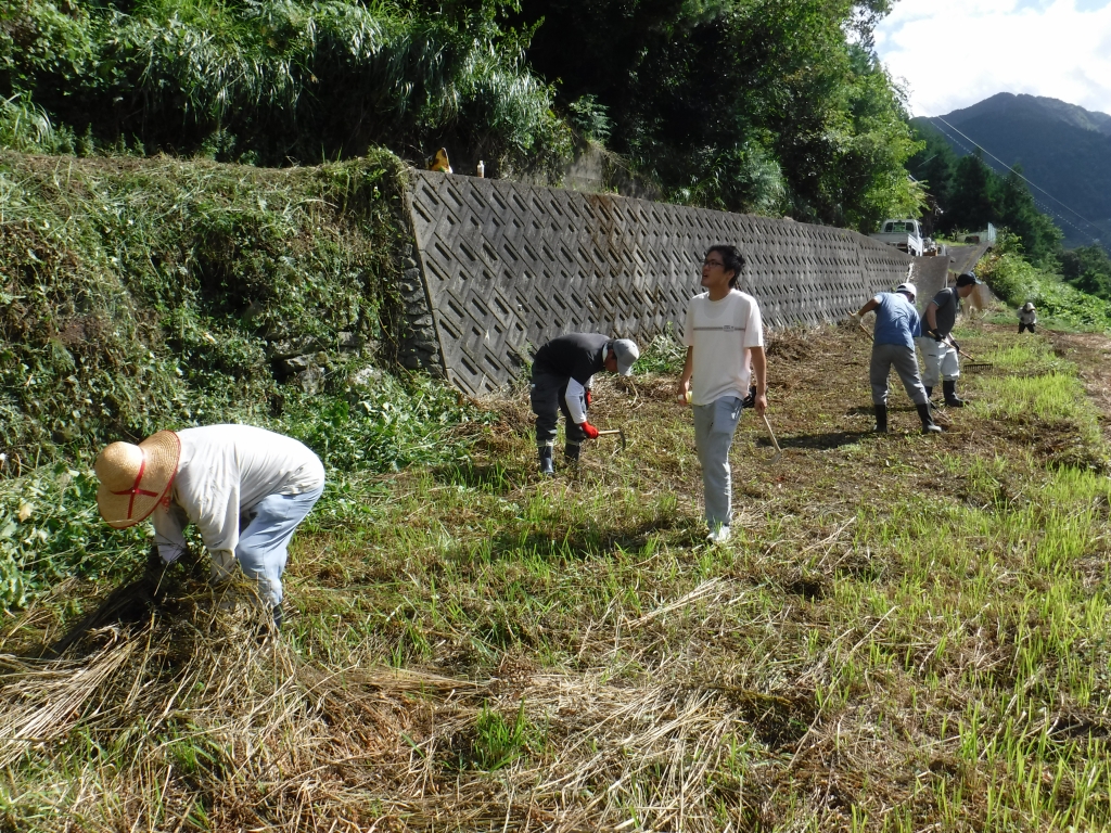 作業の様子（刈った草を集めて積み上げる）