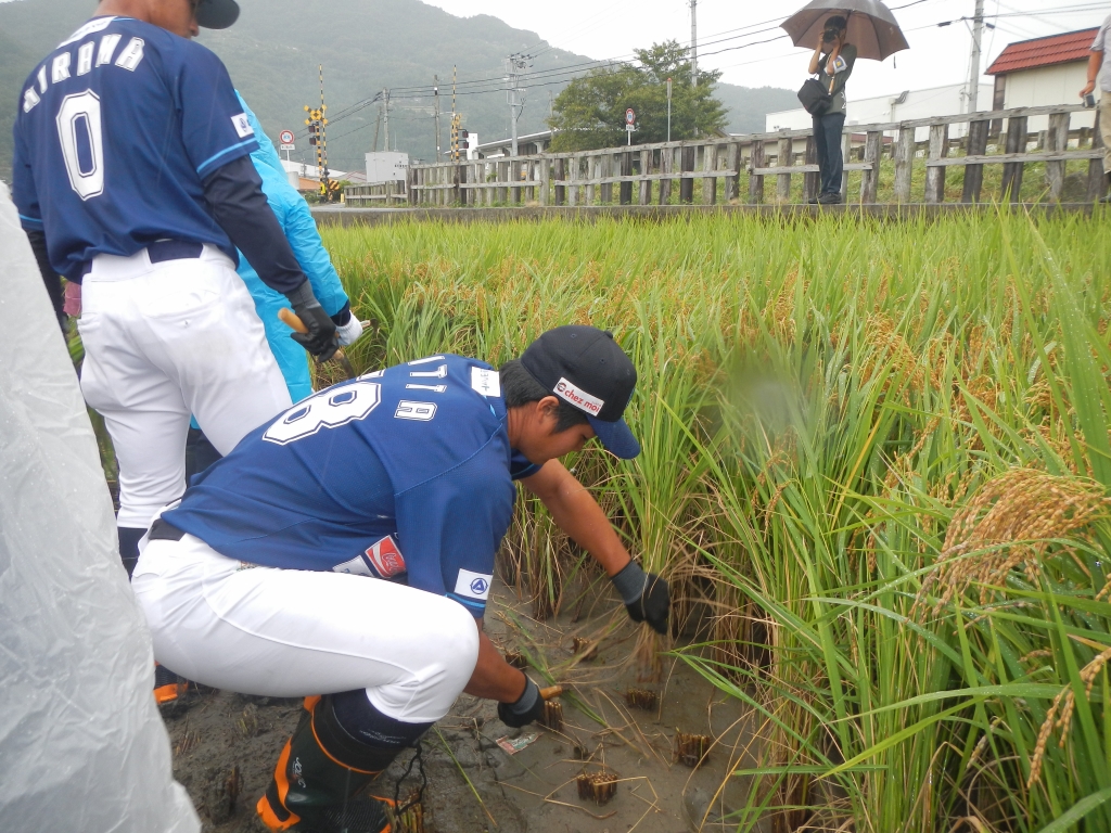 徳島インディゴソックス球団の選手が地域を応援