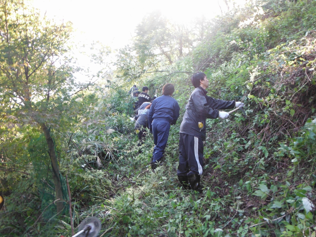 除草作業