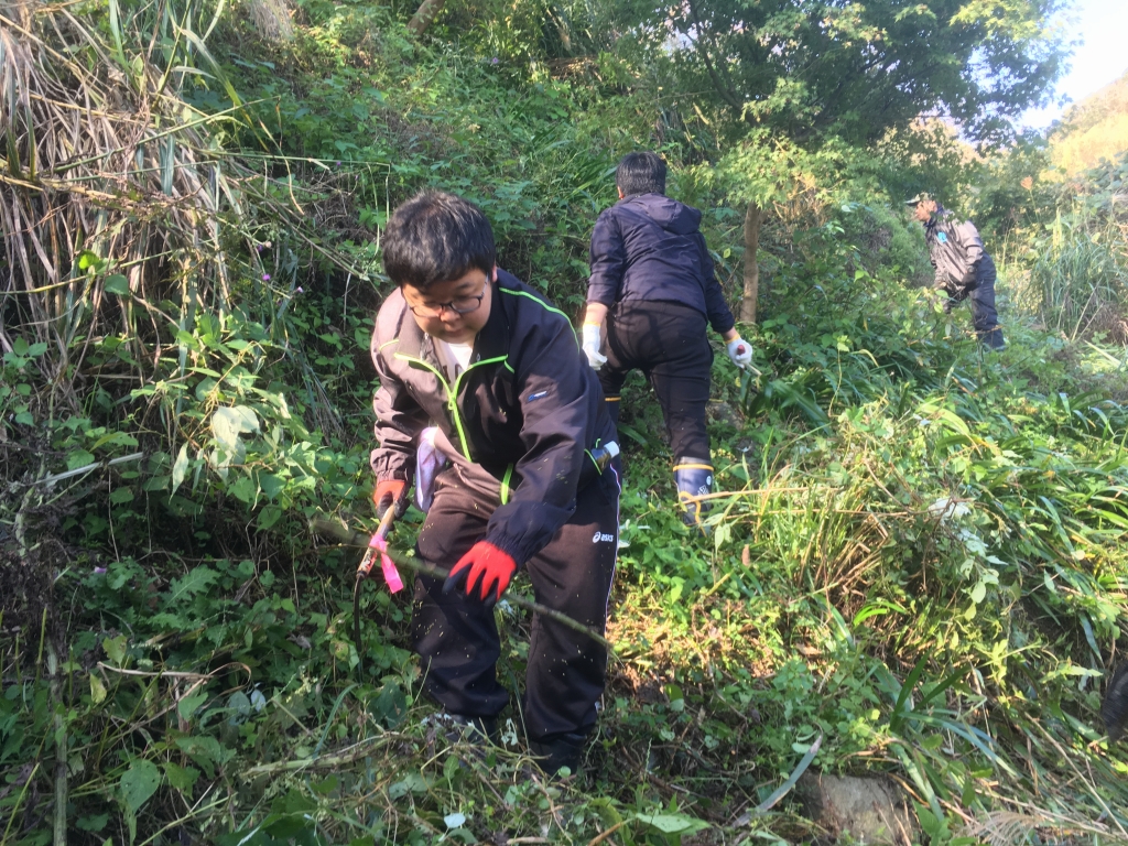 除草作業