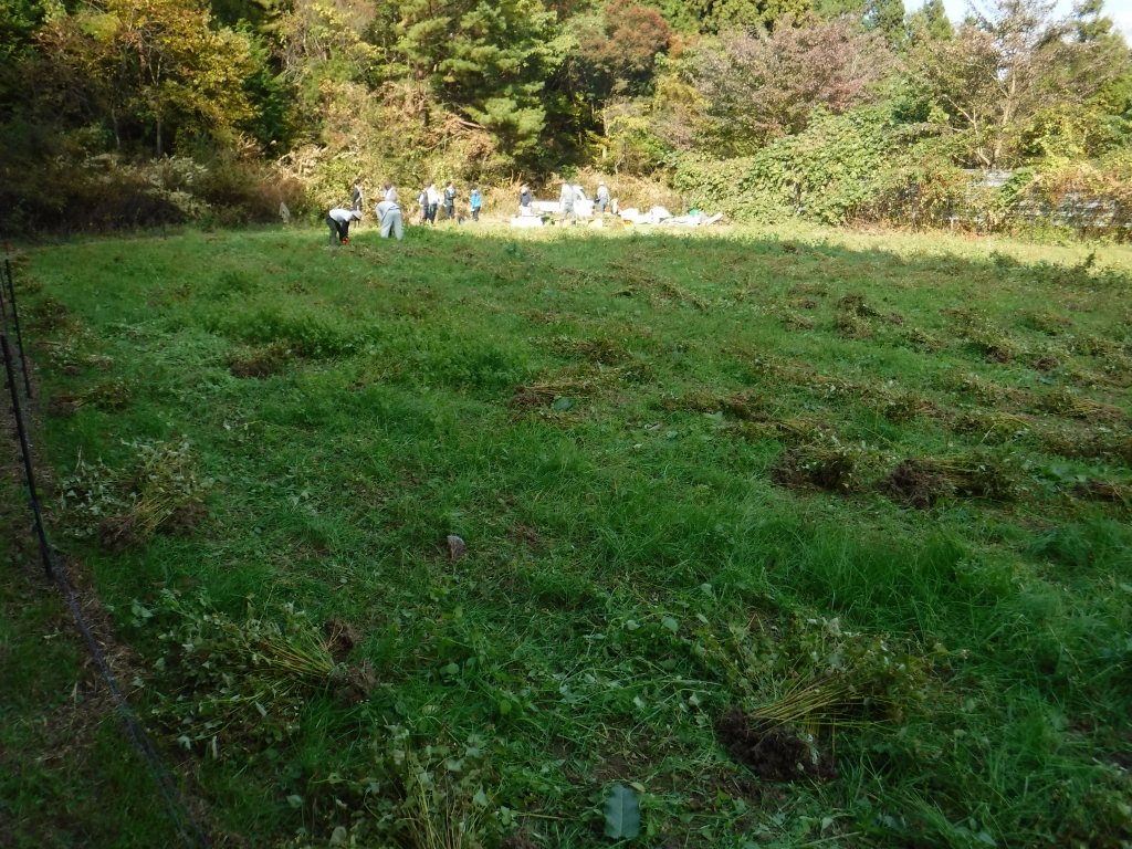 収穫後の圃場