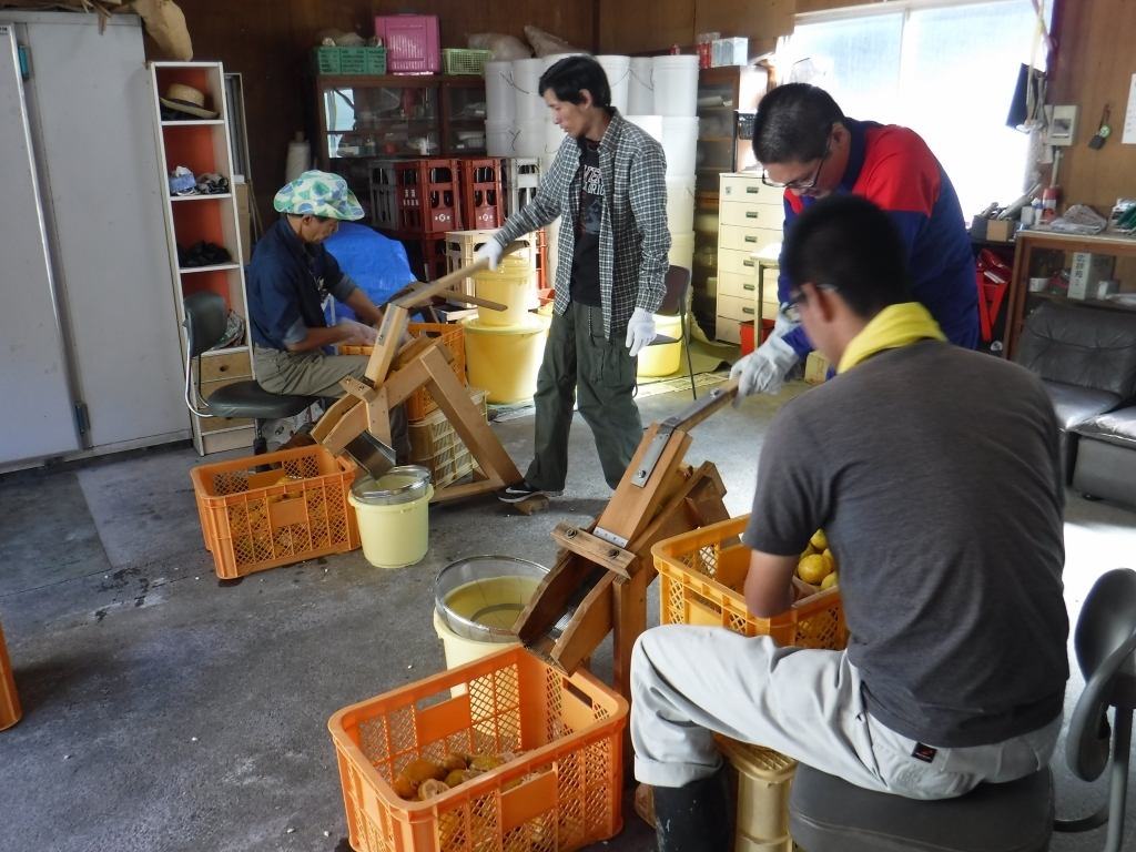 搾汁作業