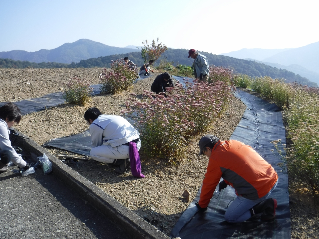 雄大な景色の中で防草シート張り