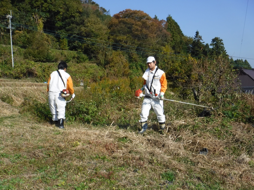 芝桜まつり会場周辺での除草作業