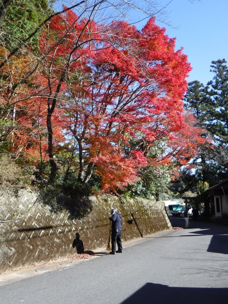 マラソン前日、紅葉が見頃