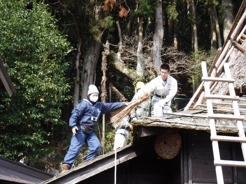 修復作業の体験