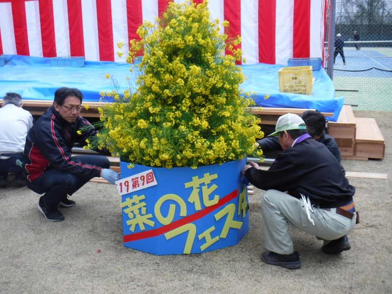 菜の花で飾り作り