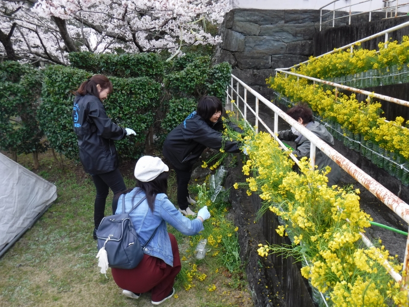 3月31日飾り付けの仕上げ