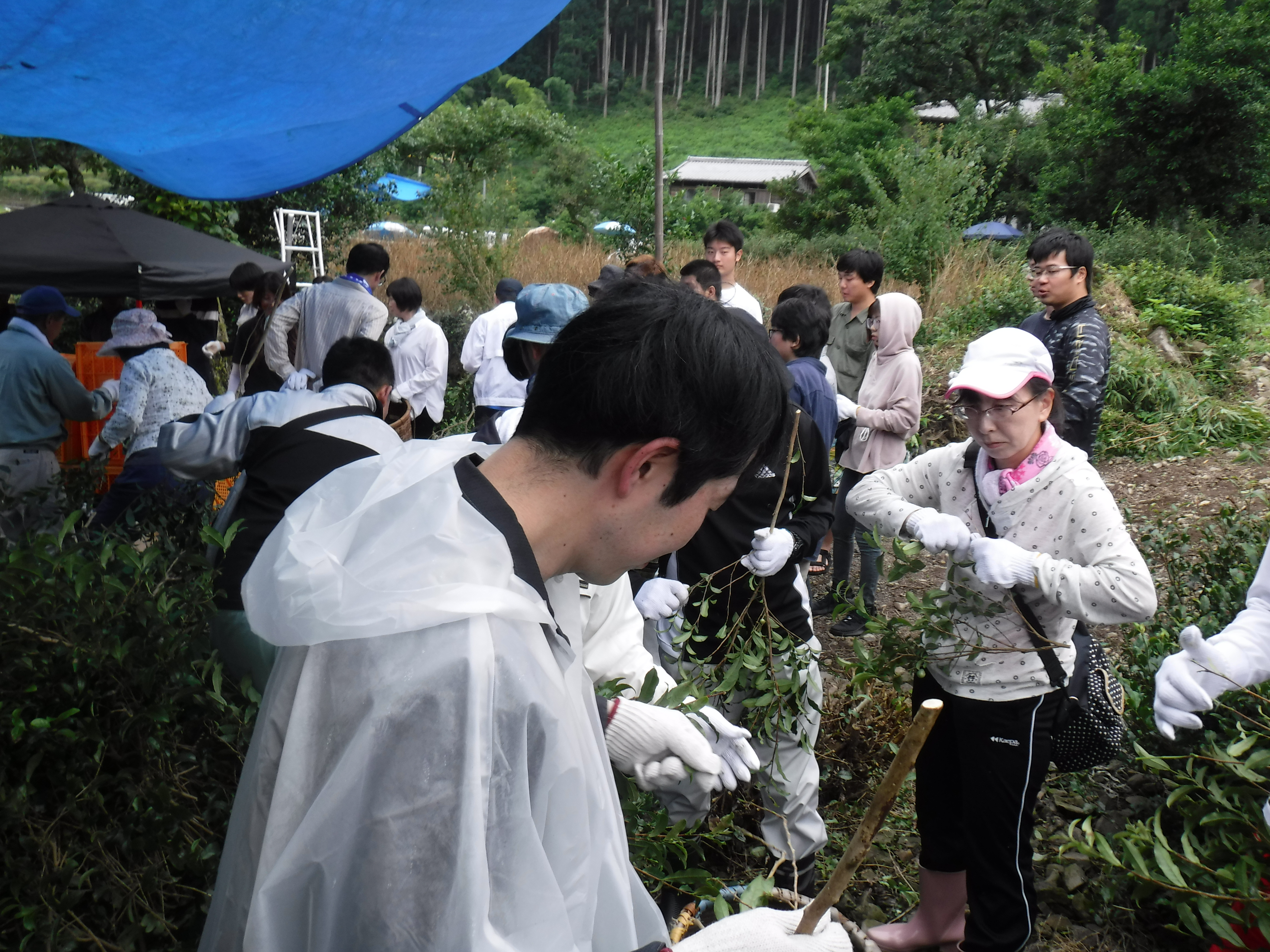 作業の様子1