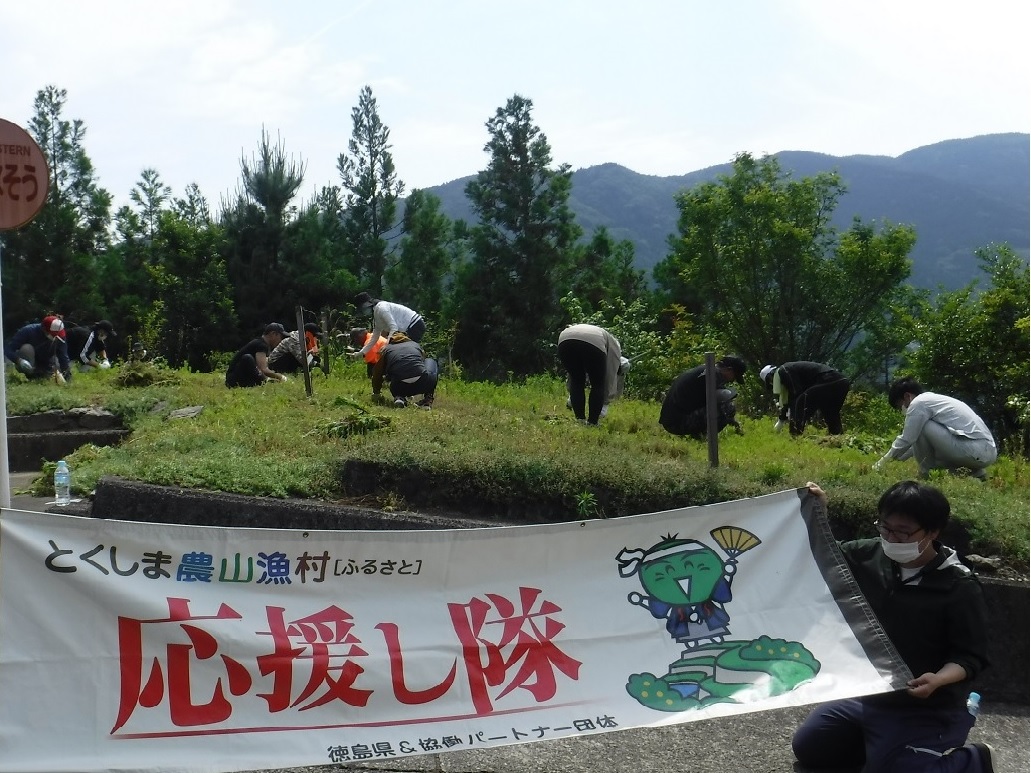 作業の様子