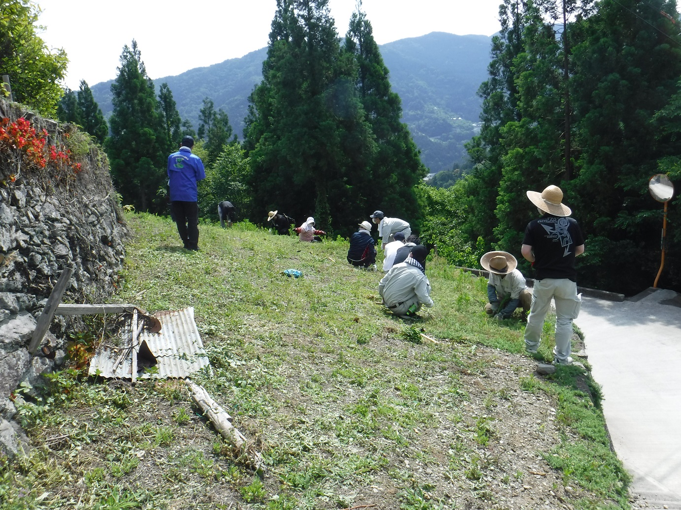 作業の様子