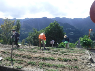 作業風景の写真 ２枚目