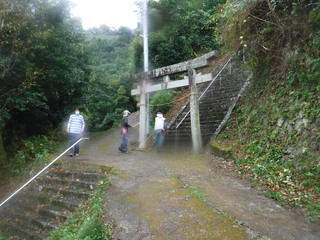 作業風景の写真　３枚目