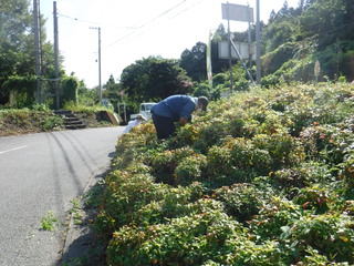 作業風景の写真