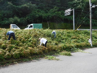 作業風景の写真　２枚目