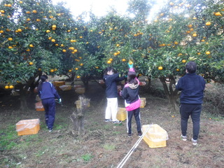 作業風景の写真　１枚目