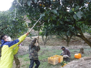 作業風景の写真２枚目