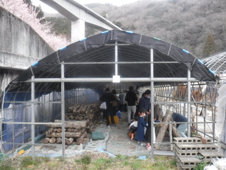 作業風景の写真　２枚目