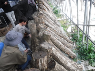 作業の様子の写真　３枚目