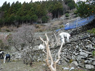 作業風景の写真　３枚目